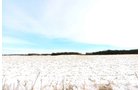 Property photo 2 - LAND AUCTION - 181.22+/- ACRE OFFERED IN 3 TRACTS IN JASPER CO., INDIANA